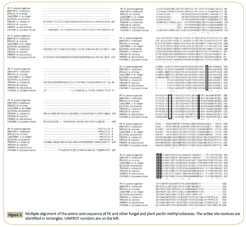 Insights-Enzyme-Research-fungal and plant pectin methyl esterases